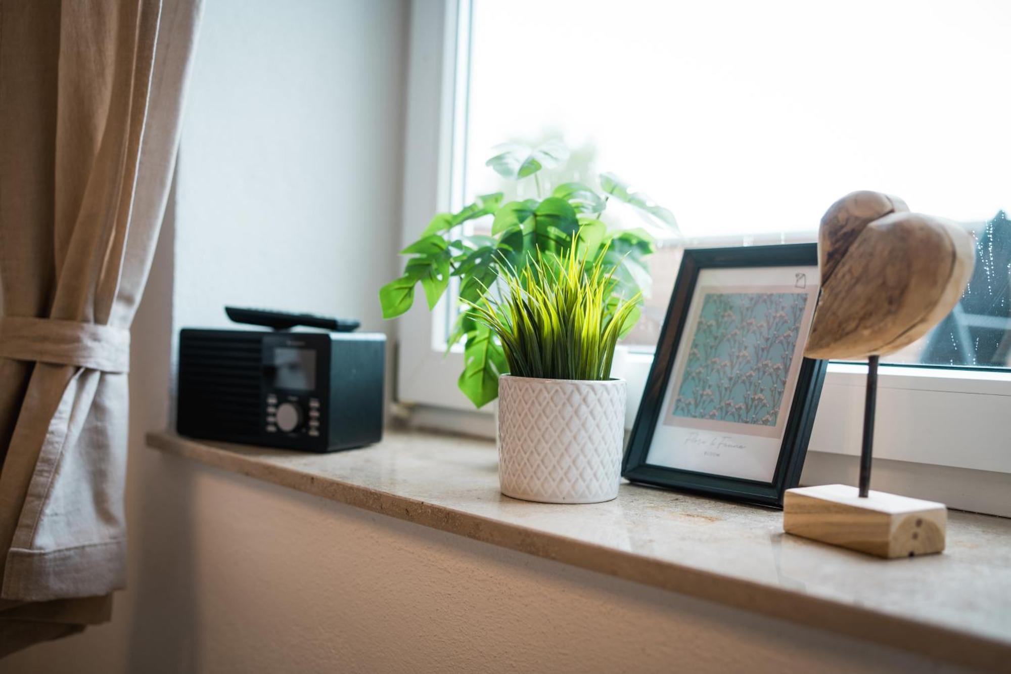 Doppelzimmer 1 - Neu Renoviert ディンケルスビュール エクステリア 写真